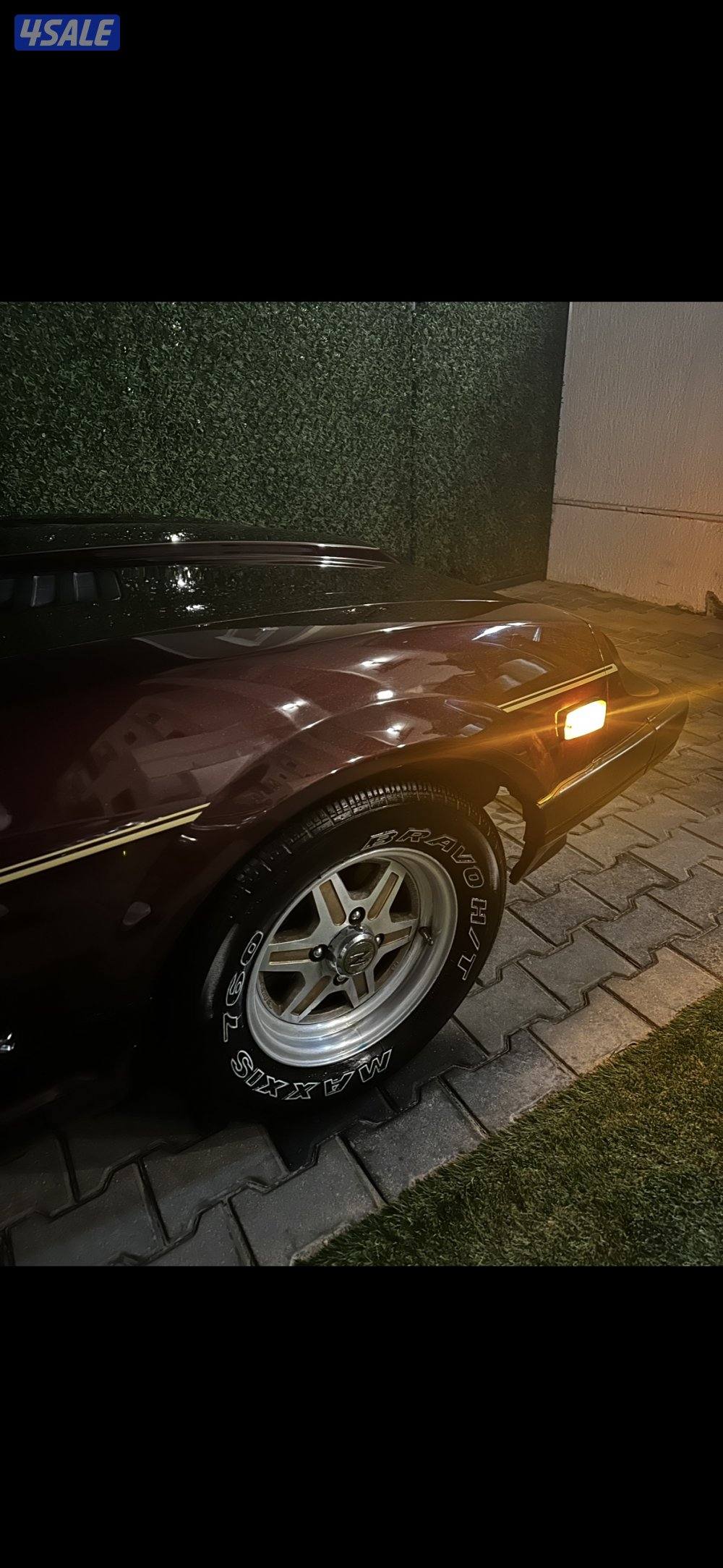 زد فورسيت 19821