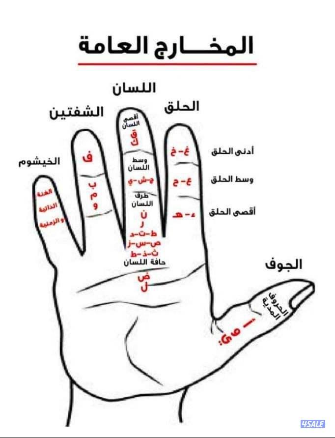 مدرس لغة عربية لجميع المراحل1