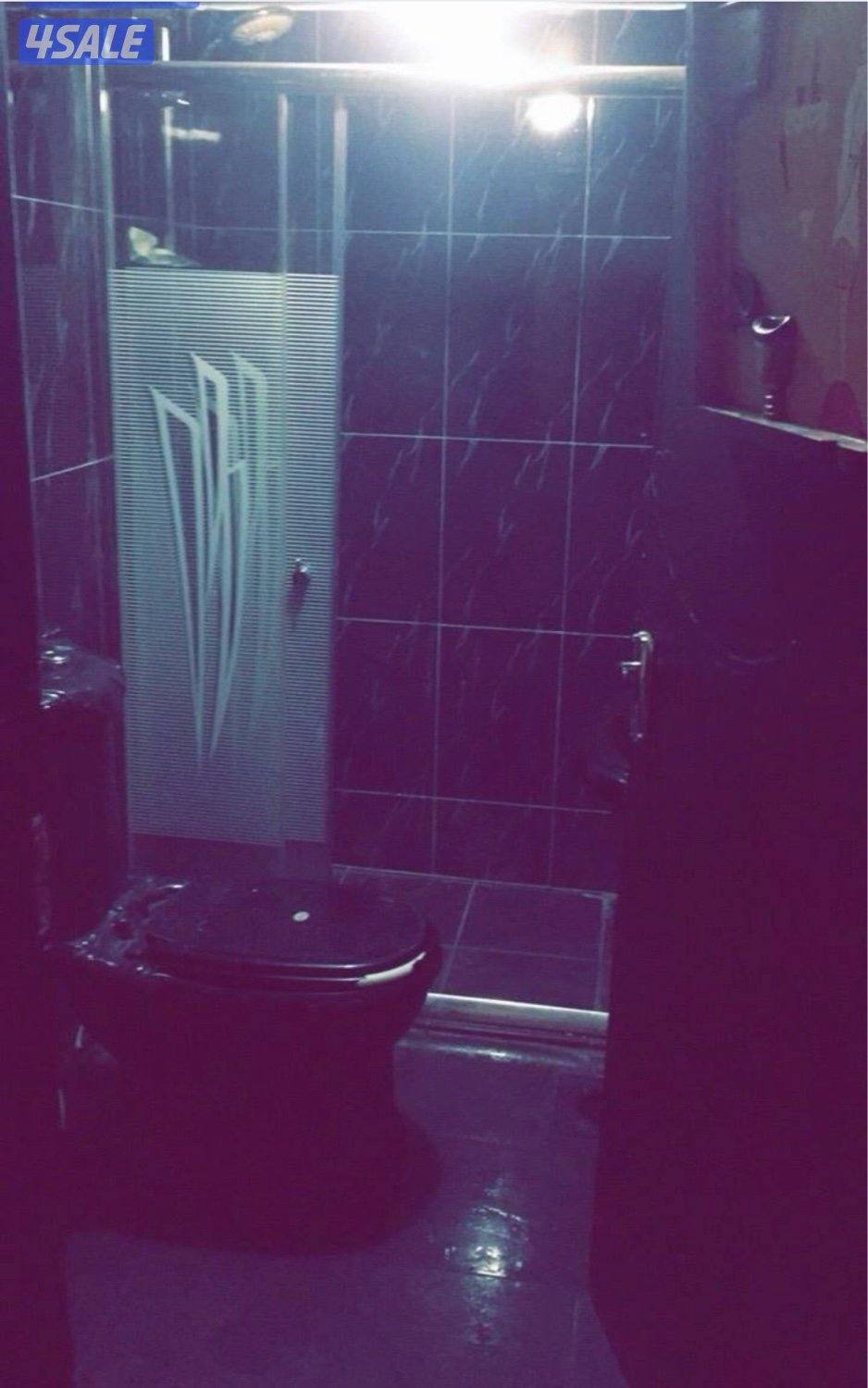 اجار يومي بسالميه6