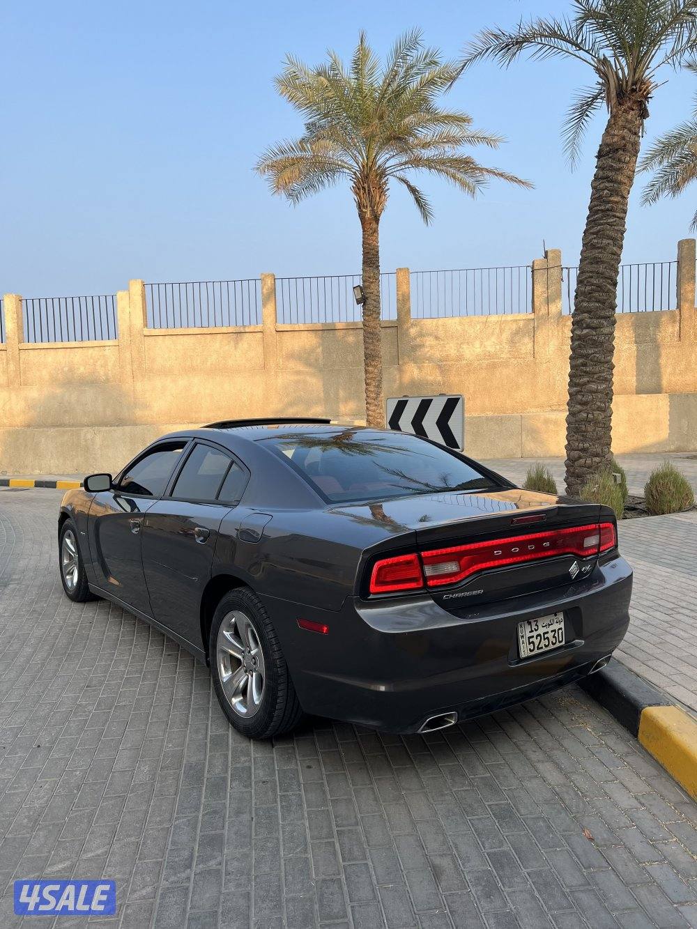 تشارجر RT هيمي شرط الفحص كامل3