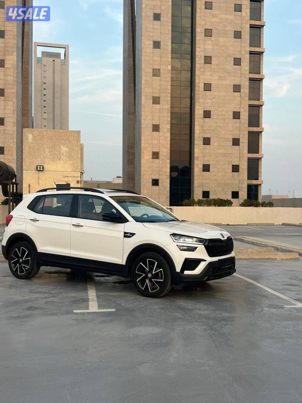 الروضة قطعة 41