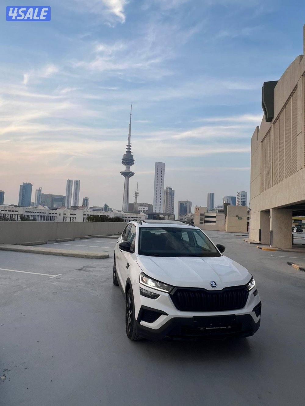 الروضة قطعة 42