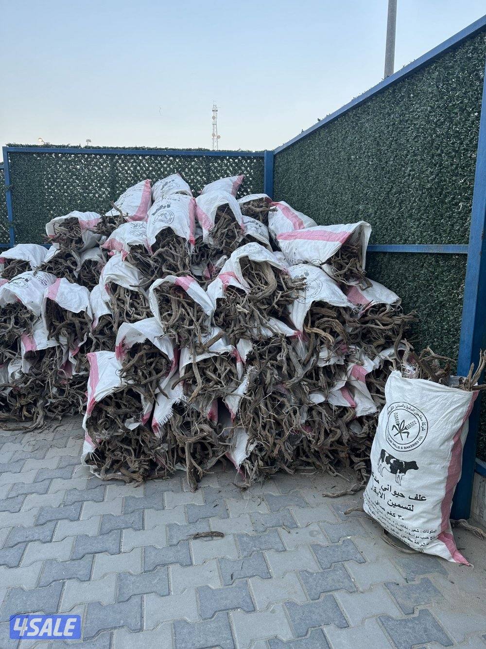 للبيع رمث نص الخيشه جروم ونص عودان0