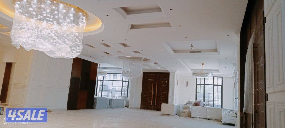 صباغ حيدر هندي11