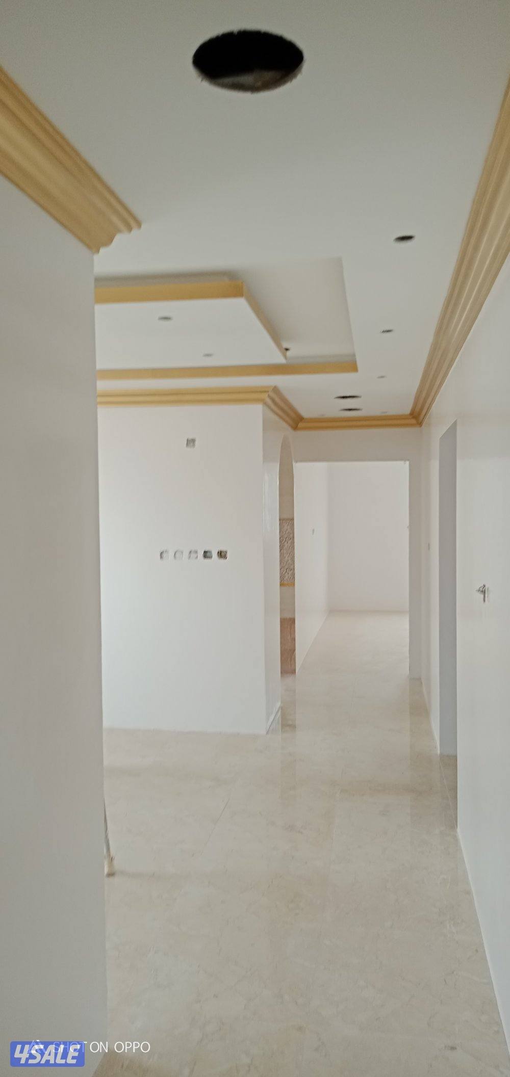 صباغ حيدر هندي13