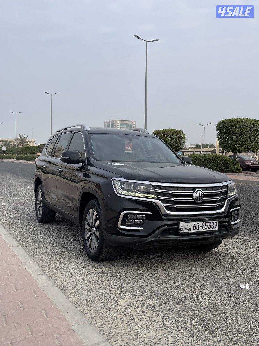 MG RX8 صبغ وكالة2