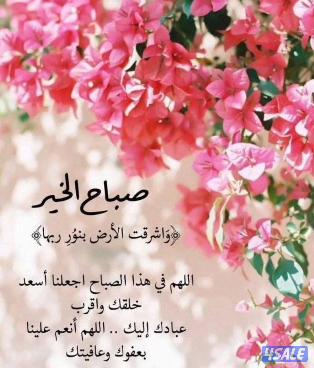 للايجار شقه ارضيه منطقه ابو فطيرة ٣غرف ٣حمام صاله مطبخ للايجار ٤٥٠دك0