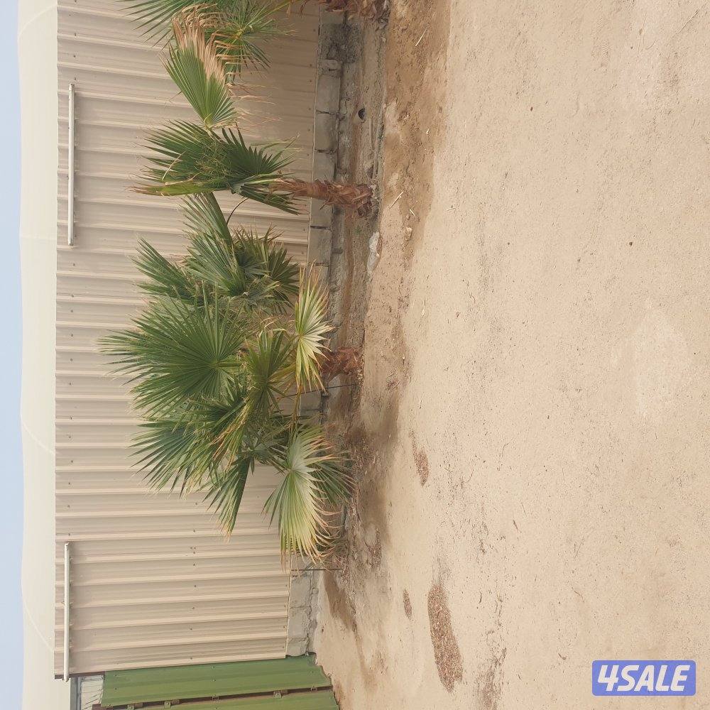 مزارع الوفره5