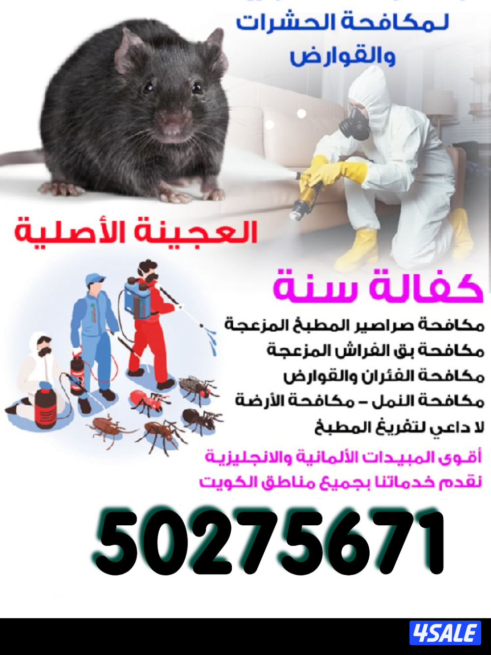 رش مبيدات  ومكافحة حشرات كفالة سنة جميع مناطق الكويت11