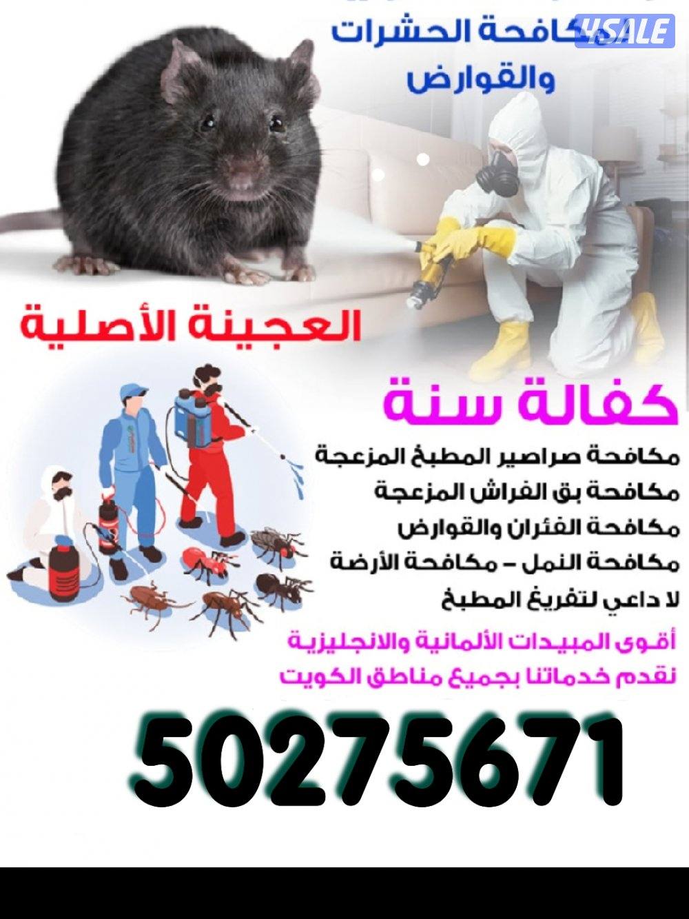 رش مبيدات  ومكافحة حشرات كفالة سنة جميع مناطق الكويت12