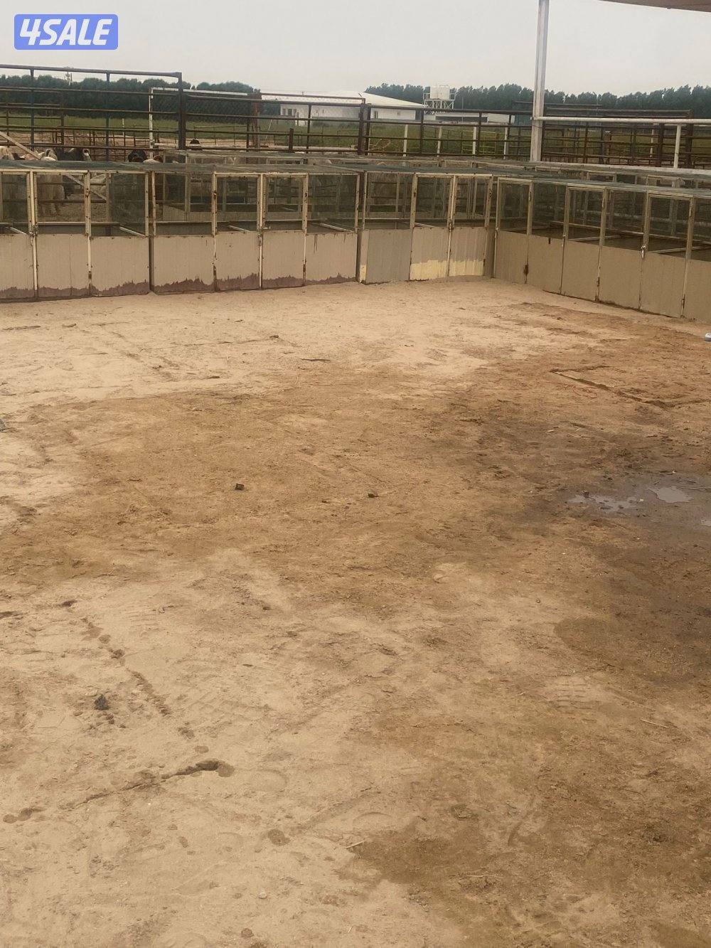 خانات للبيع2