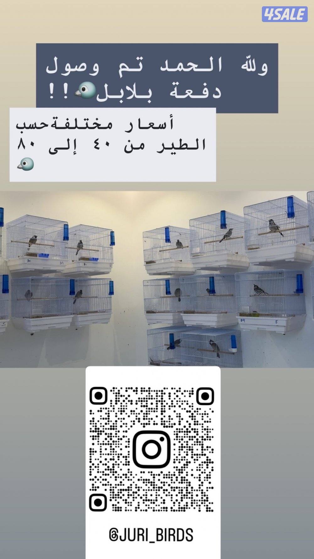 منطقة بيان0