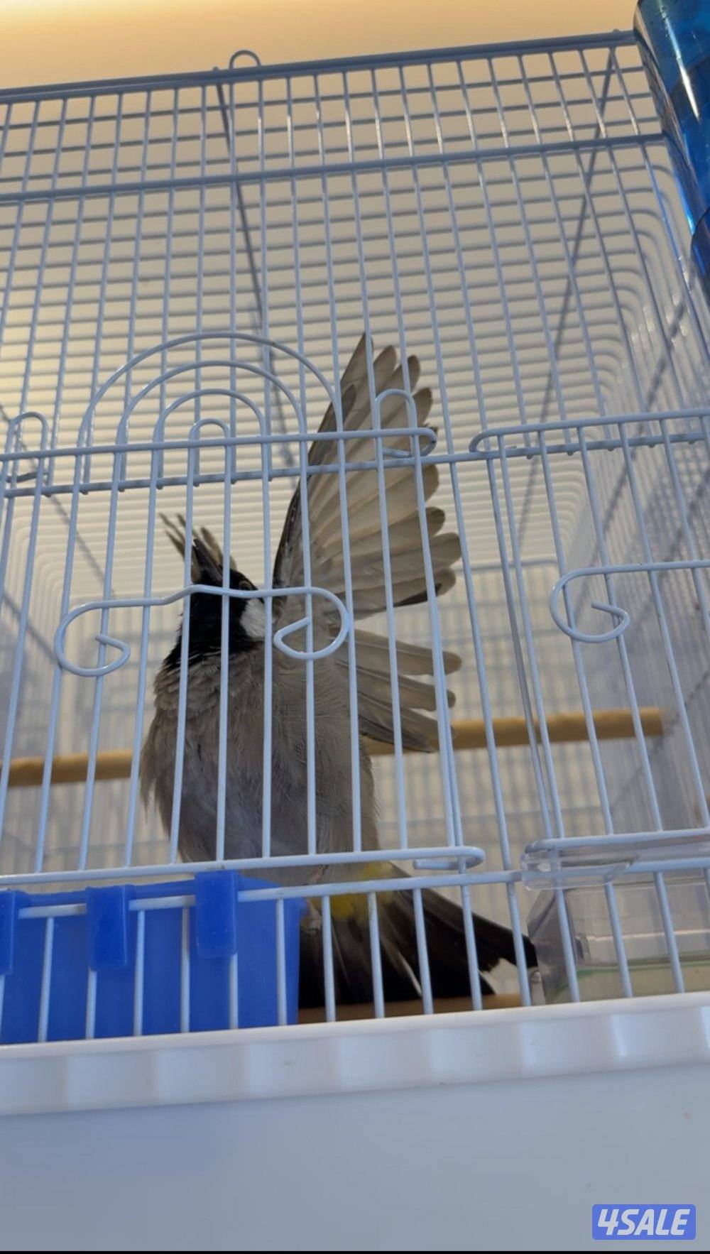 منطقة بيان2