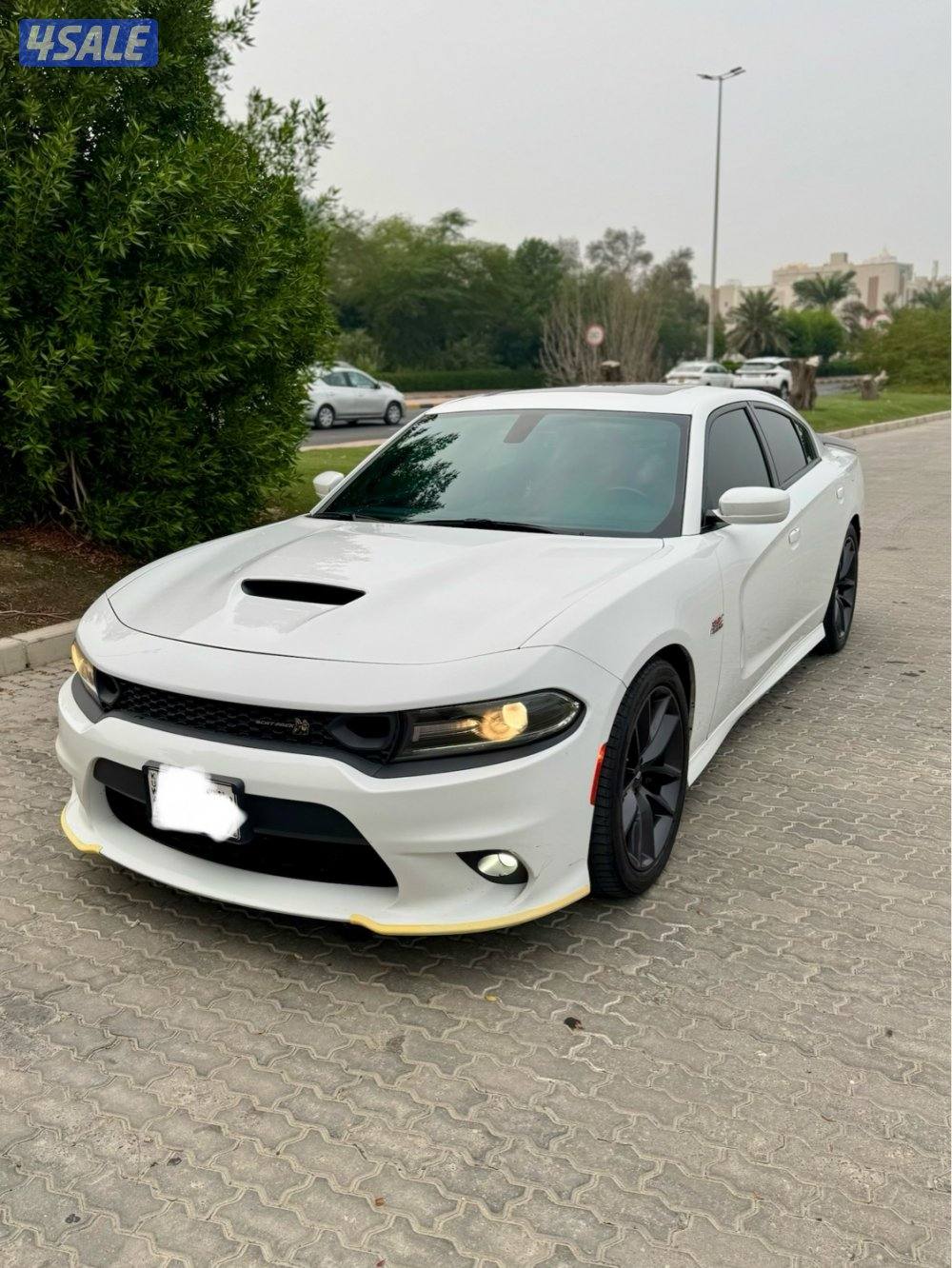 Dodge Charger ScatPack 6.4L1