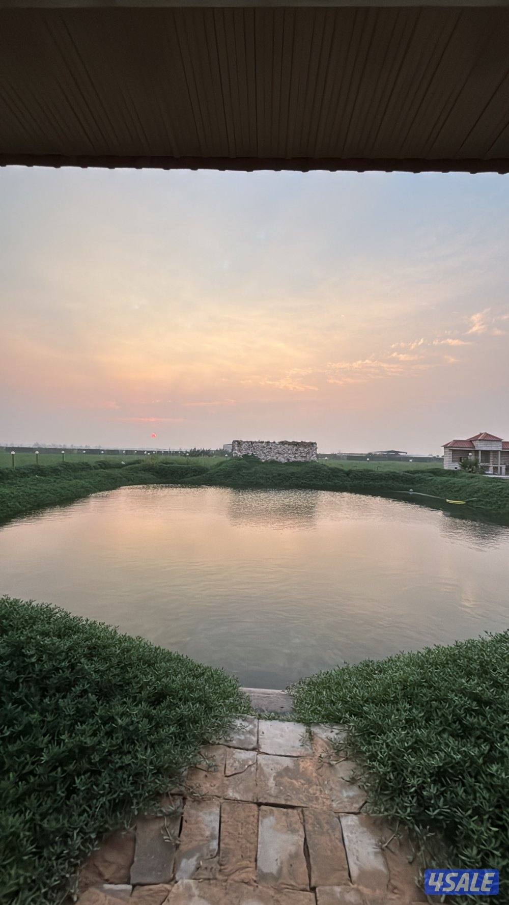 متوفر راس السنة مزرعه ب العبدلي vip2