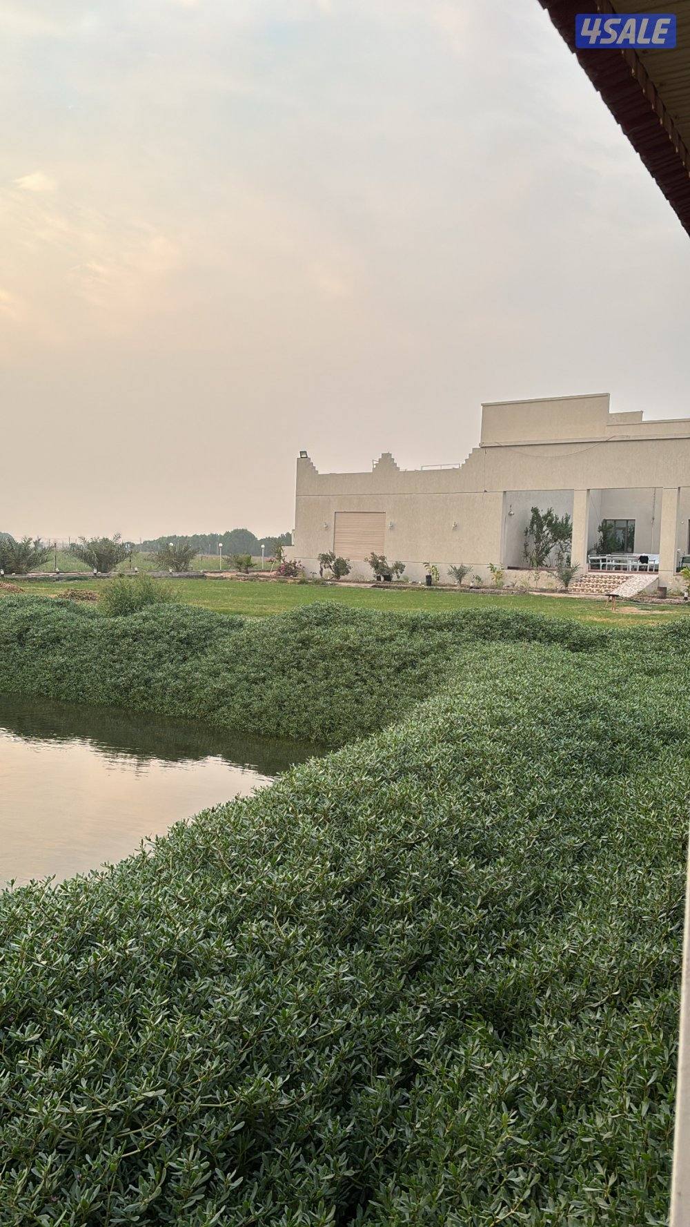 متوفر راس السنة مزرعه ب العبدلي vip3