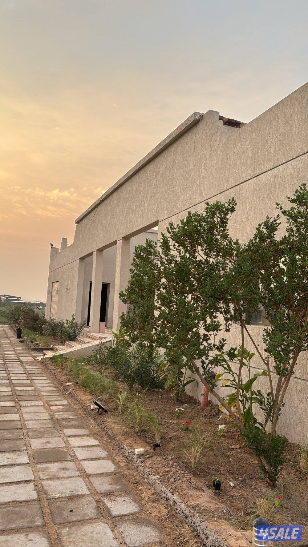 متوفر راس السنة مزرعه ب العبدلي vip6