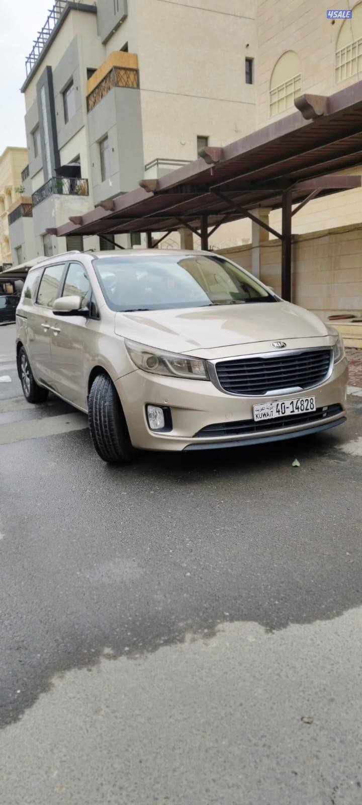 كرنفال ٢٠١٧0