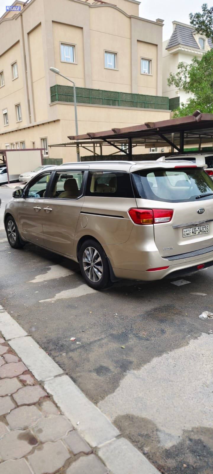 كرنفال ٢٠١٧1