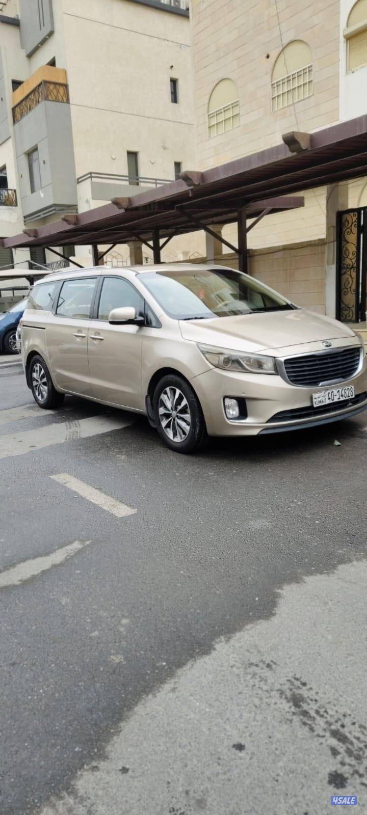 كرنفال ٢٠١٧2