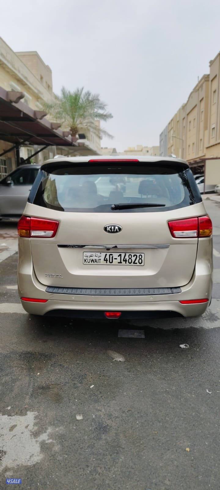 كرنفال ٢٠١٧4