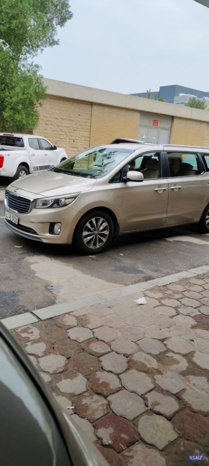 كرنفال ٢٠١٧6