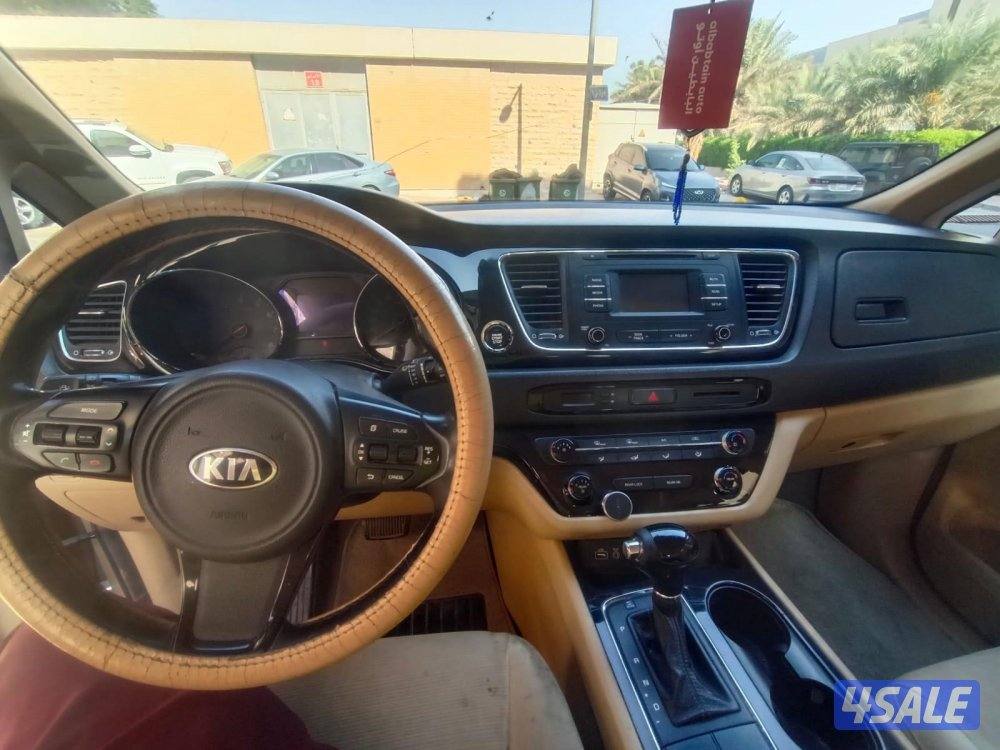 كرنفال ٢٠١٧8