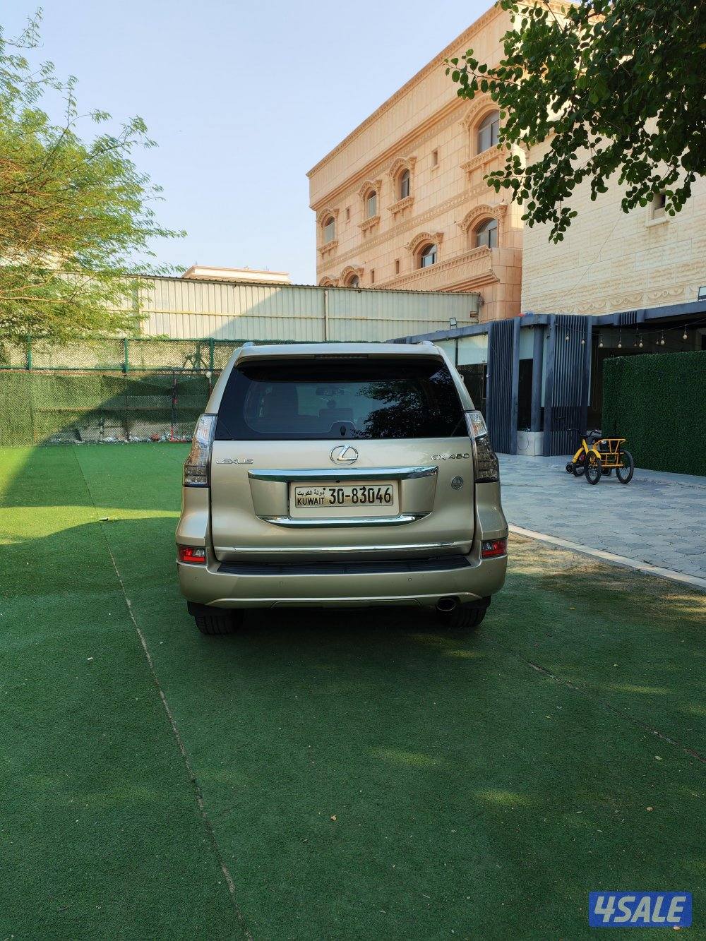 للييع لكسز GX4601