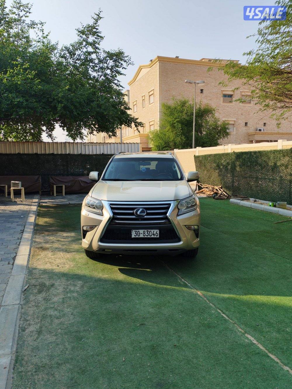 للييع لكسز GX4604