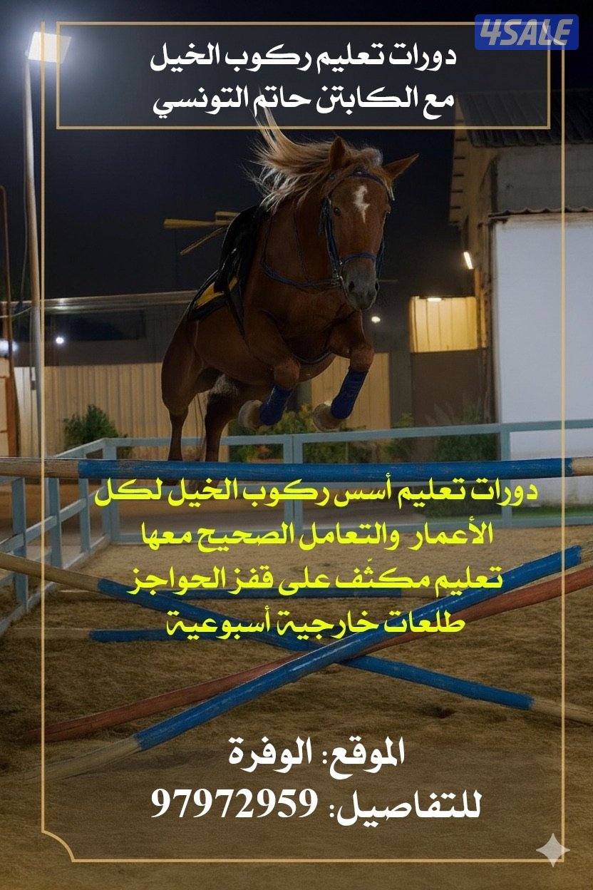 تدريب ركوب الخيل لكل الاعمار - الوفرة0