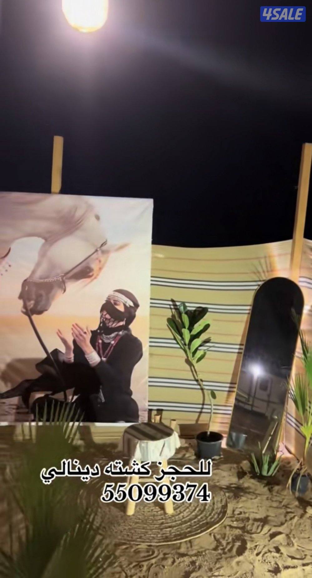 للاجار كشته دينالي3