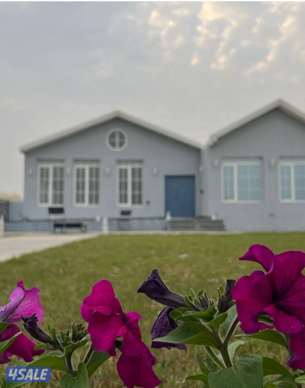 مزرعة بالوفره1