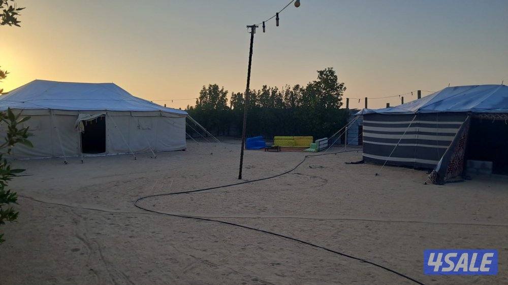 للبيع جاخور ومخيم جاهز0