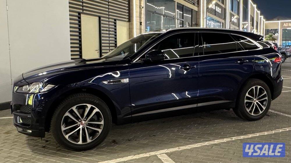 كالجديدة صبغ الوكاله1