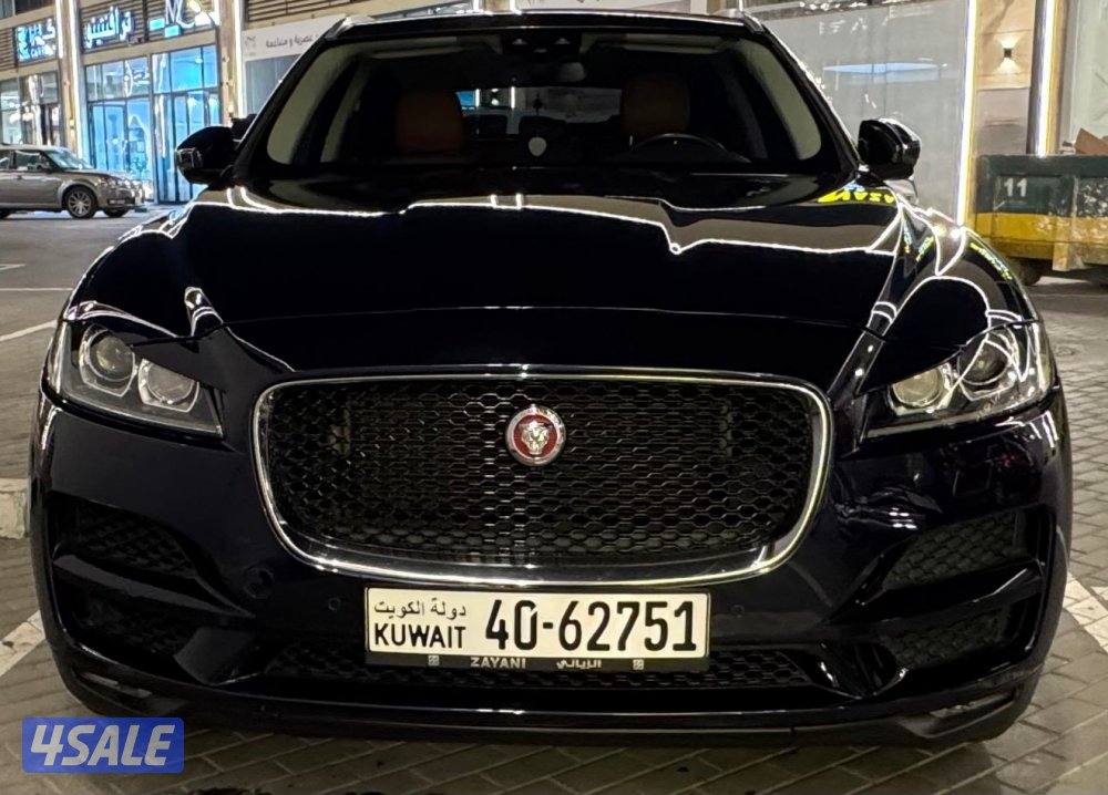 كالجديدة صبغ الوكاله4