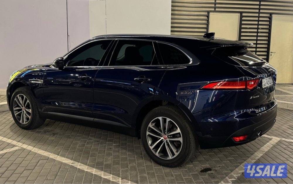 كالجديدة صبغ الوكاله7