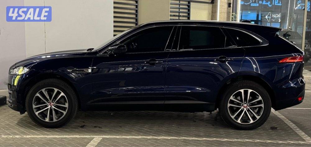 كالجديدة صبغ الوكاله8