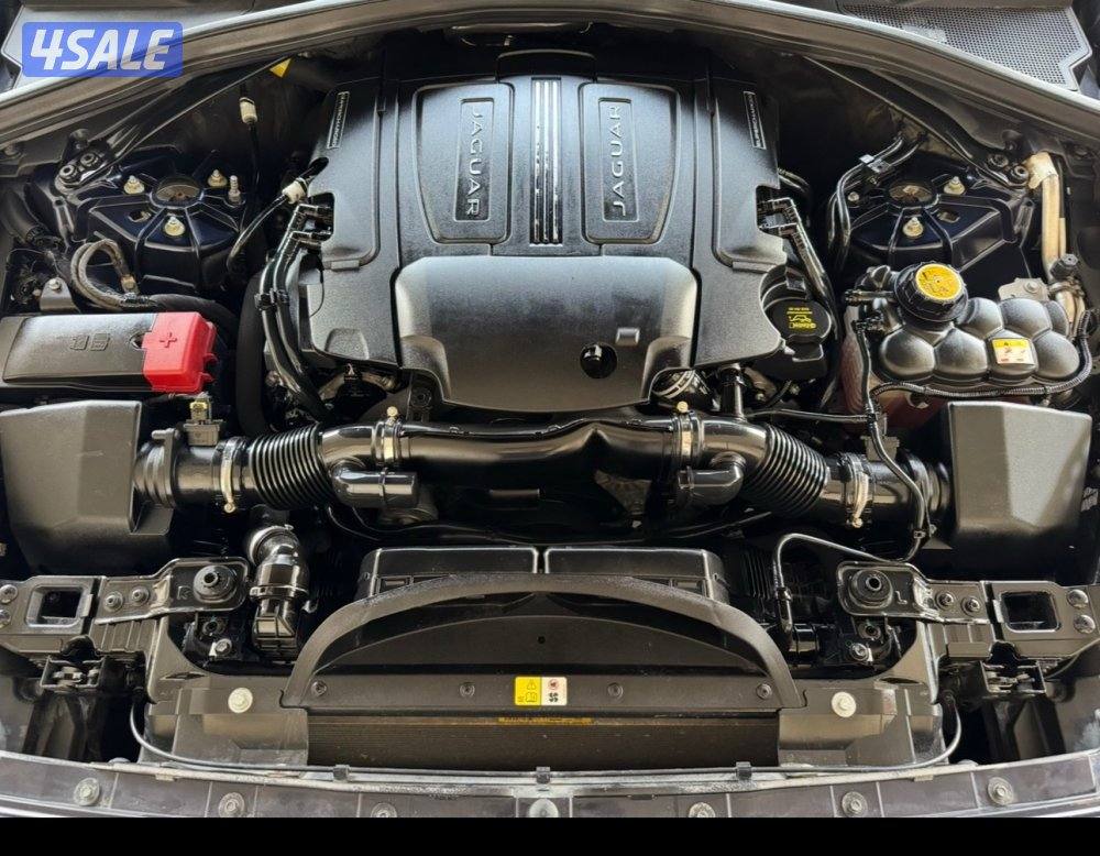 كالجديدة صبغ الوكاله14