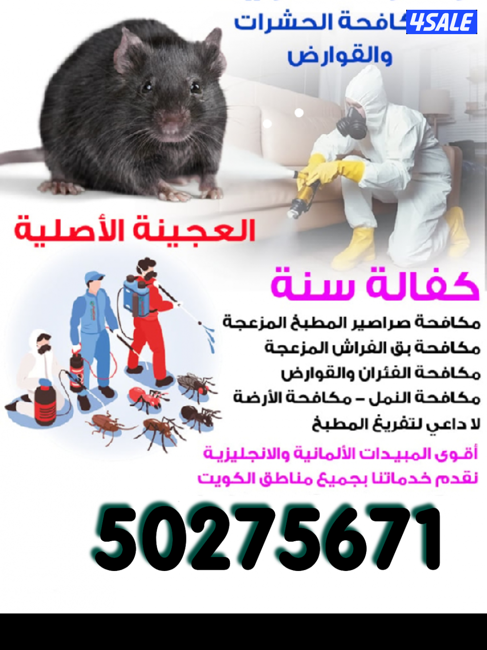 رش حشرات صراصير ونمل كفاله سنه بدون رائحة مع العجينه الاصليه4