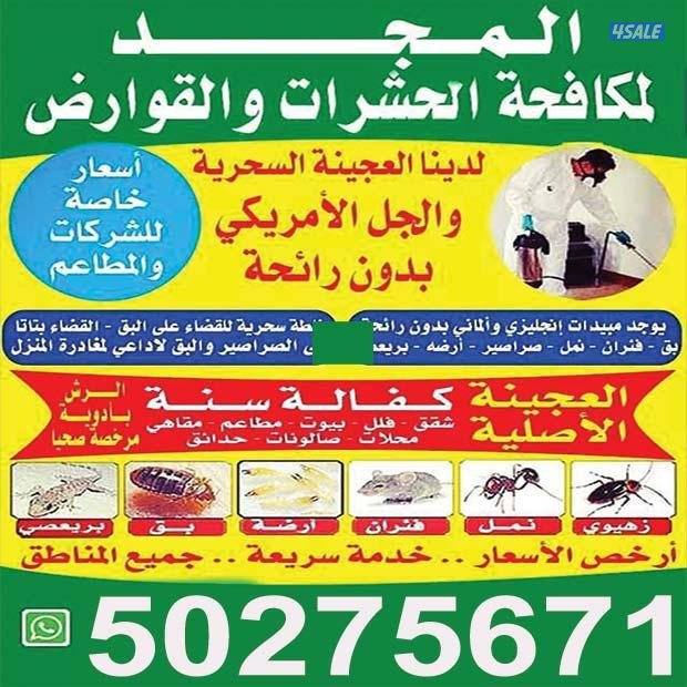 رش حشرات صراصير ونمل كفاله سنه بدون رائحة مع العجينه الاصليه7