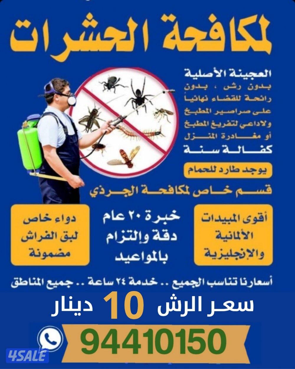 رش حشرات صراصير ونمل كفاله سنه بدون رائحة مع العجينه الاصليه8