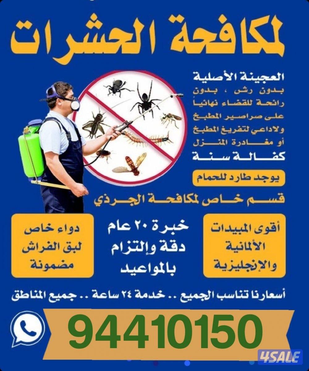 رش حشرات صراصير ونمل كفاله سنه بدون رائحة مع العجينه الاصليه10