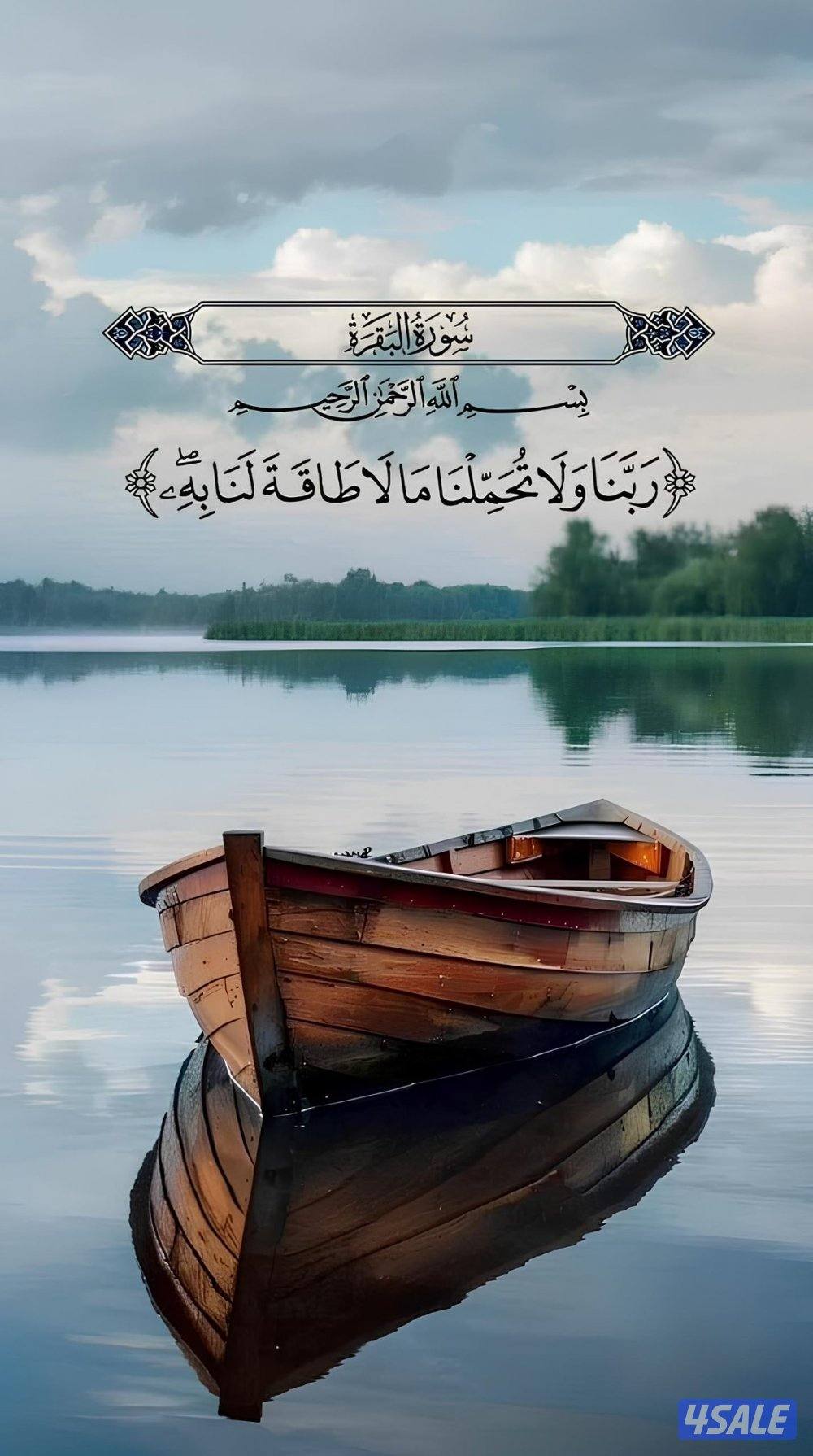 مطلوب مزرعه للايجار من ٢٠ الف الى٥٠ الف فاضيه بس ضروري كهرباء موجوده0