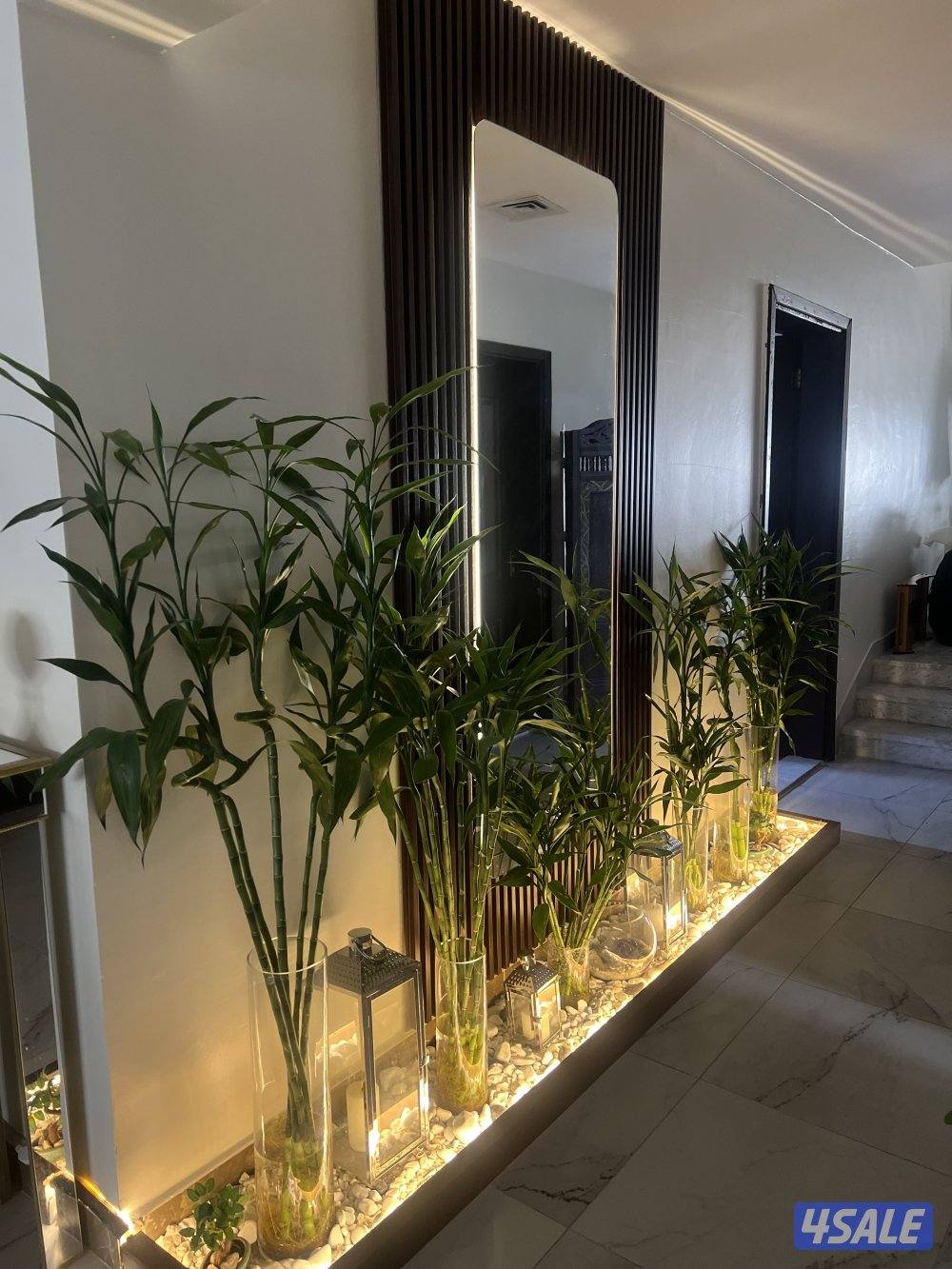 زلابيه للديكور والصبغ 🔥🔥3