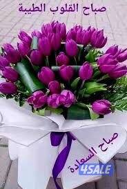 للايجار دور اول بالقادسيه ٤غرف صاله ٤حمام مطبخ غ خ سيراميك سنترال مصعد0