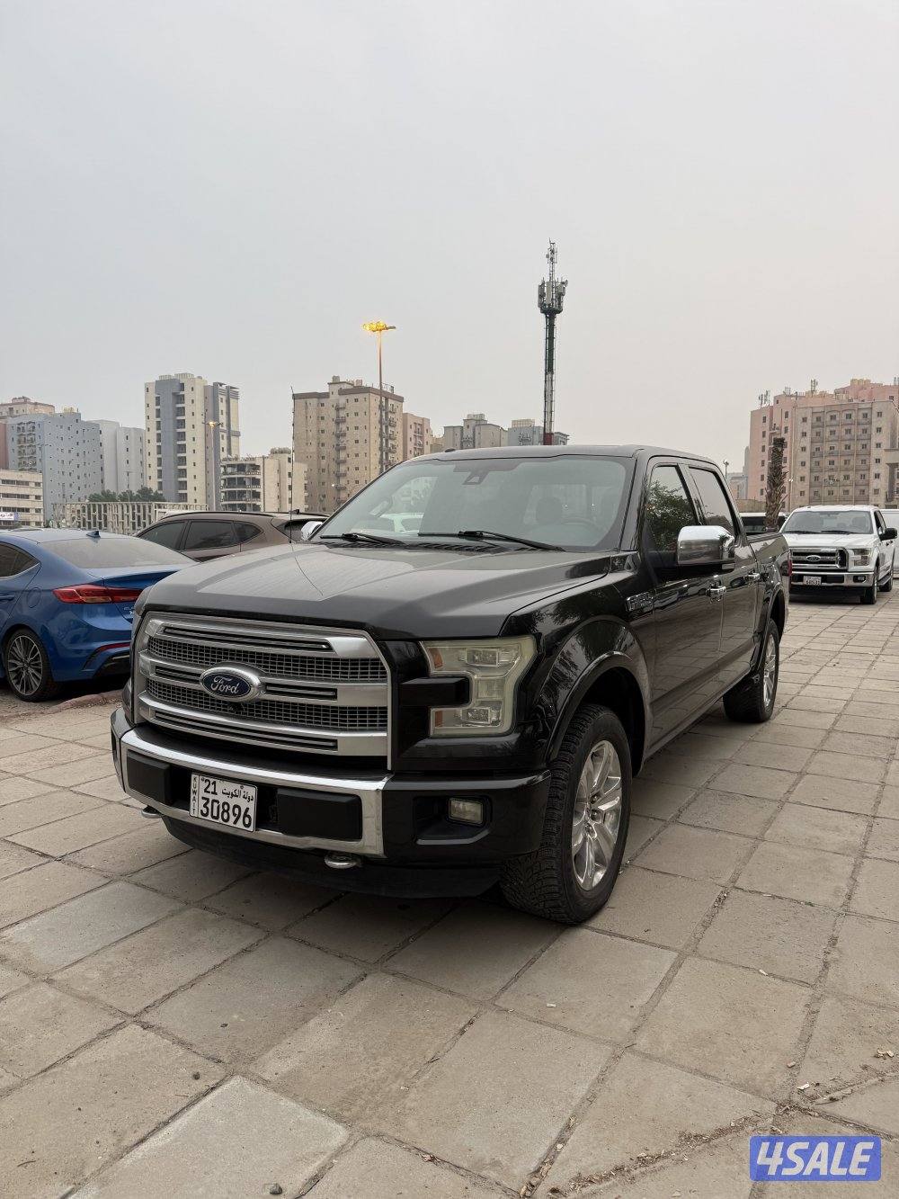 للبيع وانيت فورد بلاتنيوم 20151