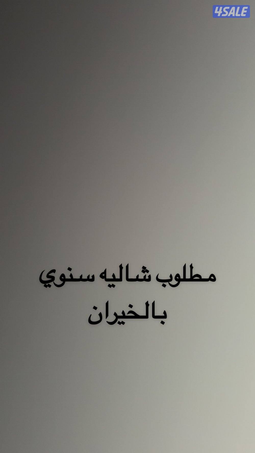 مطلوب شاليه سنوي 7 غرف أو أكثر كامل غير مقسوم صف أول0