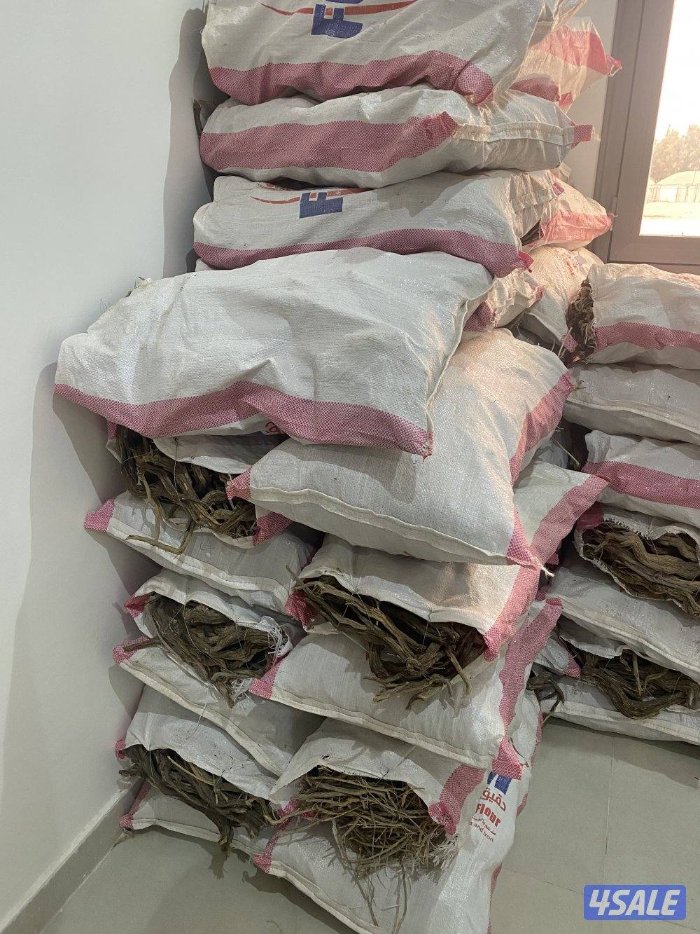 رمث جروم كبار والخيشه فل0