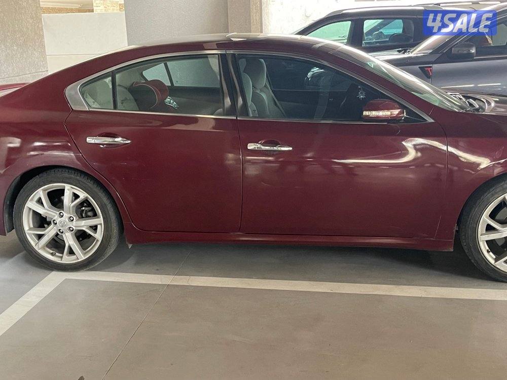 نيسان ماكسيما 2013 - نظفية جدااا2