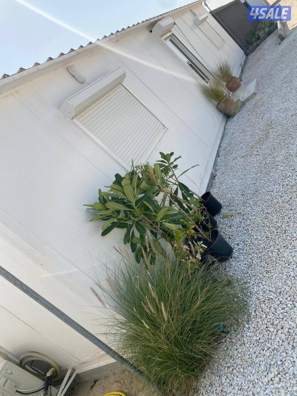 للبيع شاليه ١٢متر x ٤ ممتاز ملبس ارضيه باريكه ساندوتش بانر ٧ سانتي2